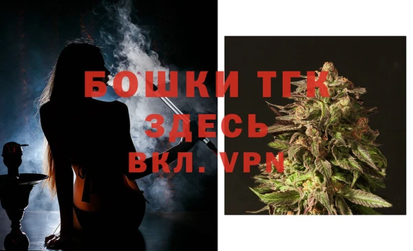 PSILOCYBIN Верхний Тагил